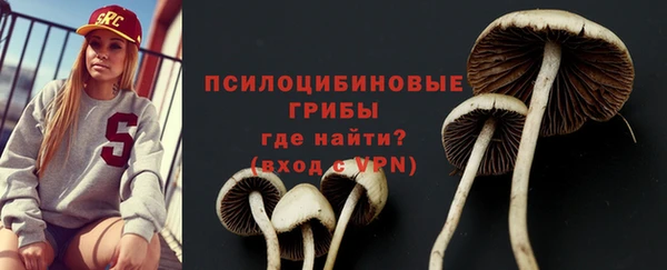 PSILOCYBIN Пестово