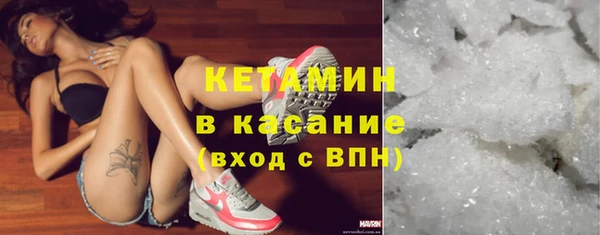 сатива Аркадак