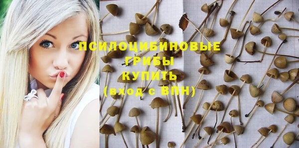тгк Баксан